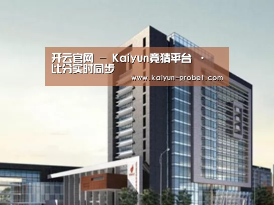 开云赛事案例展示四