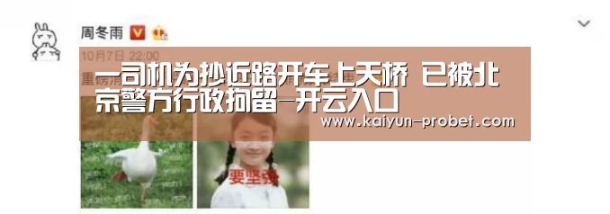 开云入口